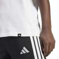 ADIDAS Herren Shirt Graphic mit Wimpelmotiv