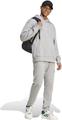 ADIDAS Herren Kapuzensweat ALL SZN French Terry