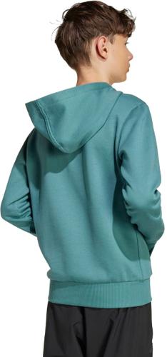 ADIDAS Kinder Kapuzensweat Boys Slogan Fleece Hoodie Kids 164 in Blau