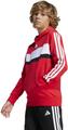 ADIDAS Kinder Kapuzensweat Seasonal Essentials Tiberio 3-Streifen Kids