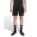 ADIDAS Kinder Shorts Tiro 24
