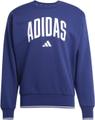 ADIDAS Herren Sweatshirt College Style L in Blau