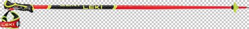 LEKI Herren Alpin-Skistock WCR SL 3D
