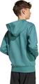 ADIDAS Kinder Kapuzensweat Boys Slogan Fleece Hoodie Kids 164 in Blau