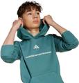 ADIDAS Kinder Kapuzensweat Boys Slogan Fleece Hoodie Kids 164 in Blau