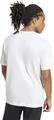 ADIDAS Herren Shirt Lounge Slides Graphic Pocket S in Weiß
