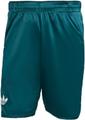ADIDAS Herren Shorts Tennis Pro Climacool Ergo (Länge 9 Zoll) L in Grün