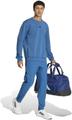 ADIDAS Herren Sweatshirt Designed for Training