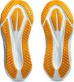 ASICS Herren Laufschuhe NOVABLAST 5