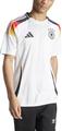 ADIDAS Herren Trikot DFB 24 Heimtrikot XS in Weiß