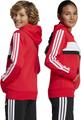 ADIDAS Kinder Kapuzensweat Seasonal Essentials Tiberio 3-Streifen Kids