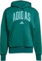 ADIDAS Herren Kapuzensweat Collegiate S in Blau