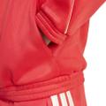 ADIDAS Herren Rolli Stadium