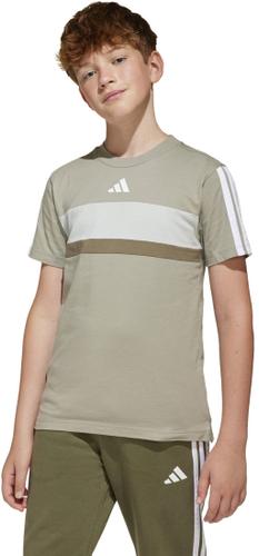 ADIDAS Kinder Shirt Seasonal Essentials Tiberio 3-Streifen Kids