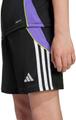 ADIDAS Kinder Shorts Tiro 24