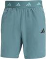 ADIDAS Herren Shorts Gym (Länge 7 Zoll) XXL in Grün