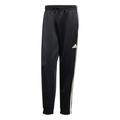 ADIDAS Herren Hose Stadium