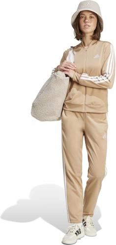 ADIDAS Damen Sportanzug DAYREADY M in Braun