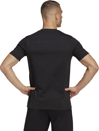 ADIDAS Herren Fanshirt Entrada 22 (normal & lang) S in Schwarz