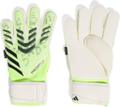 ADIDAS Herren Handschuhe Predator Match Fingersave 10 in Grau