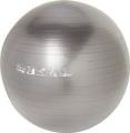 ENERGETICS Gymnastik Ball  / Physioball 75 in Grau