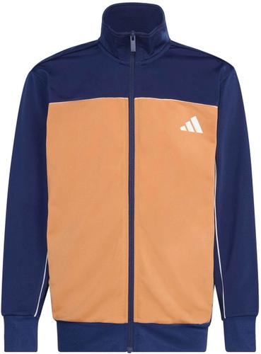 ADIDAS Kinder Sportanzug Colour Pop