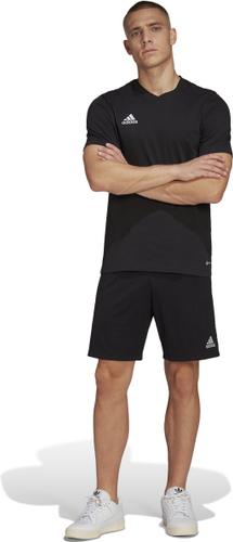 ADIDAS Herren Fanshirt Entrada 22 (normal & lang) S in Schwarz