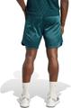 ADIDAS Herren Shorts Tennis Pro Climacool Ergo (Länge 9 Zoll)