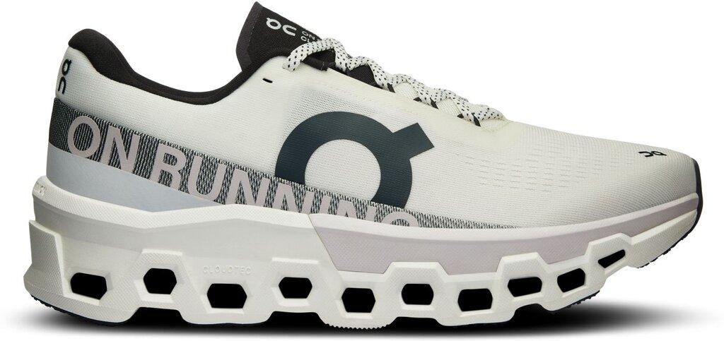 ON Herren Laufschuhe Cloudmonster 2 44 in Silber