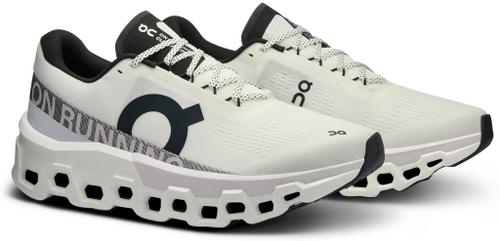 ON Herren Laufschuhe Cloudmonster 2 44 in Silber
