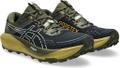 ASICS Herren Trailrunningschuhe GEL-Trabuco 13 GTX 45 in Grau