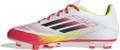 ADIDAS Herren Fussball-Rasenschuhe F50 Club FG/MG 45 ⅓ in Grau