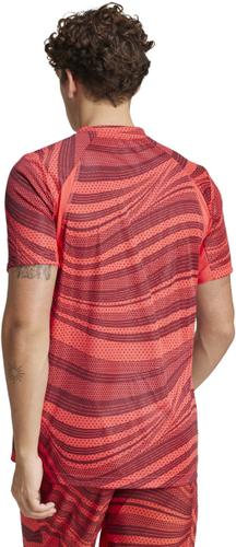 ADIDAS Herren Shirt Club Tennis Climacool Graphic