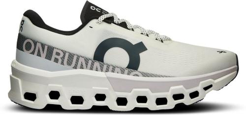 ON Herren Laufschuhe Cloudmonster 2 44 in Silber